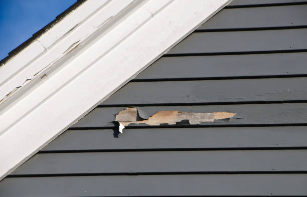 Best Engineered Wood Siding  in Jarrettsville, MD